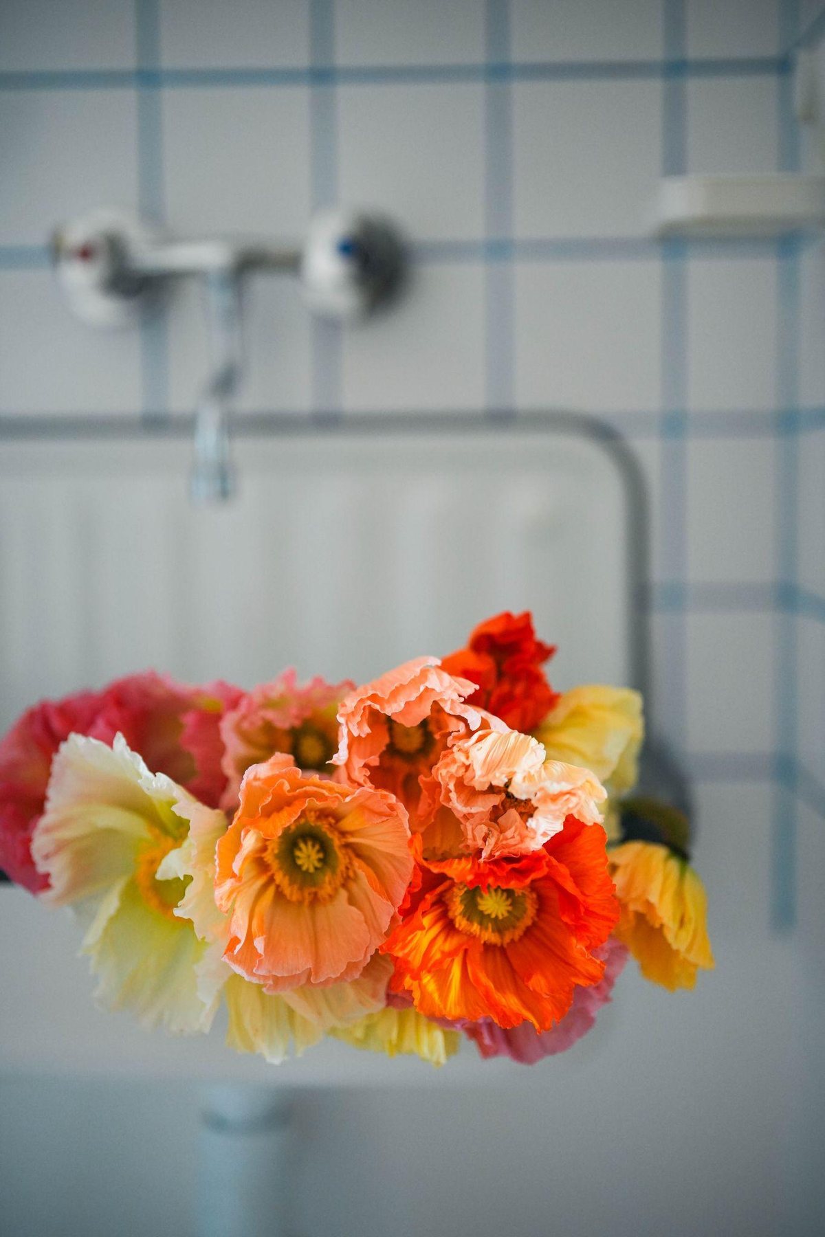 A bunch of bright poppies resting in a white sink